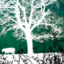 'Winter Tree On Long Lane' Limited Edition Print, thumbnail 2 of 2