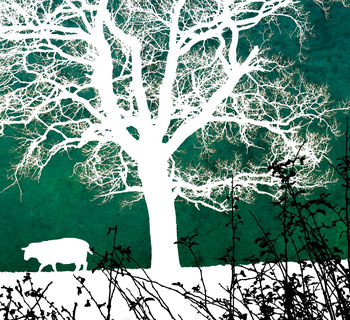 'Winter Tree On Long Lane' Limited Edition Print, 2 of 2