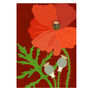 Common Poppy Greeting Card, Botanical Illustration, Floral, Deep Red, Blank Inside, All Occasion, Remembrance, In Sympathy, Royal Legion, thumbnail 2 of 2