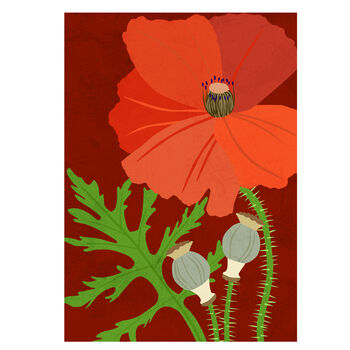Common Poppy Greeting Card, Botanical Illustration, Floral, Deep Red, Blank Inside, All Occasion, Remembrance, In Sympathy, Royal Legion, 2 of 2