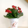 Robin Memorial Plant Pot. Personalised Flowerpot, thumbnail 3 of 5