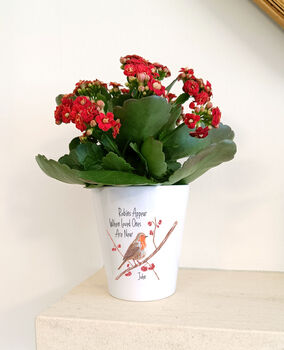 Robin Memorial Plant Pot. Personalised Flowerpot, 3 of 5