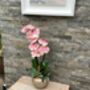 Large Pink Phalenopsis Orchid In Gold Bowl, thumbnail 6 of 7