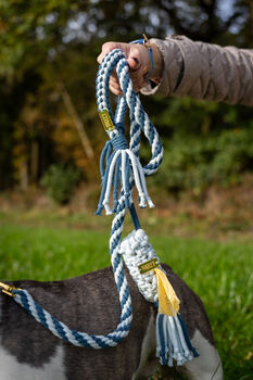 Make Your Own Blue Dog Lead Craft Kit, 3 of 7