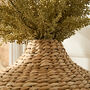 Natural Woven Bulrush Curved Vase, thumbnail 2 of 6