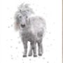 Trio Of Shetland Pony Prints, thumbnail 4 of 6