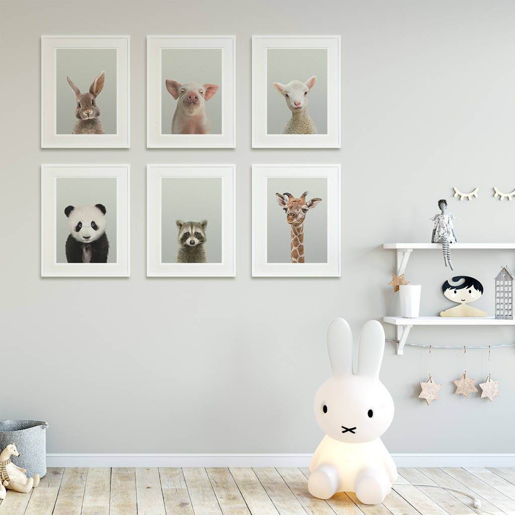 Nursery Pictures Lamb Sheep Kaboo Animal Print By Strawberry Nursery Pictures Lamb Sheep Kaboo Animal Print