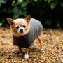 Chihuahua Polartec Water Resistant Dog Coat, thumbnail 2 of 8
