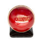 Personalised Cricket Ball And Mini Bat Gift Set, thumbnail 5 of 6