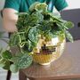 Gold Disco Ball Hanging Planter, thumbnail 3 of 4