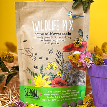 Wildflower Seed Packs For Pollinators And Garden Wildlife. Choose From Seven Varieties, 3 of 12