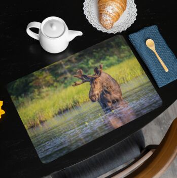 Placemats Featuring The Canada Bull Moose, 2 of 2