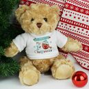 first christmas teddy bear 2020