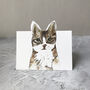 Pop Up Cat Cards, thumbnail 10 of 10