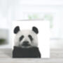 Cepheus The Panda Luxury Blank Greeting Card, thumbnail 1 of 3