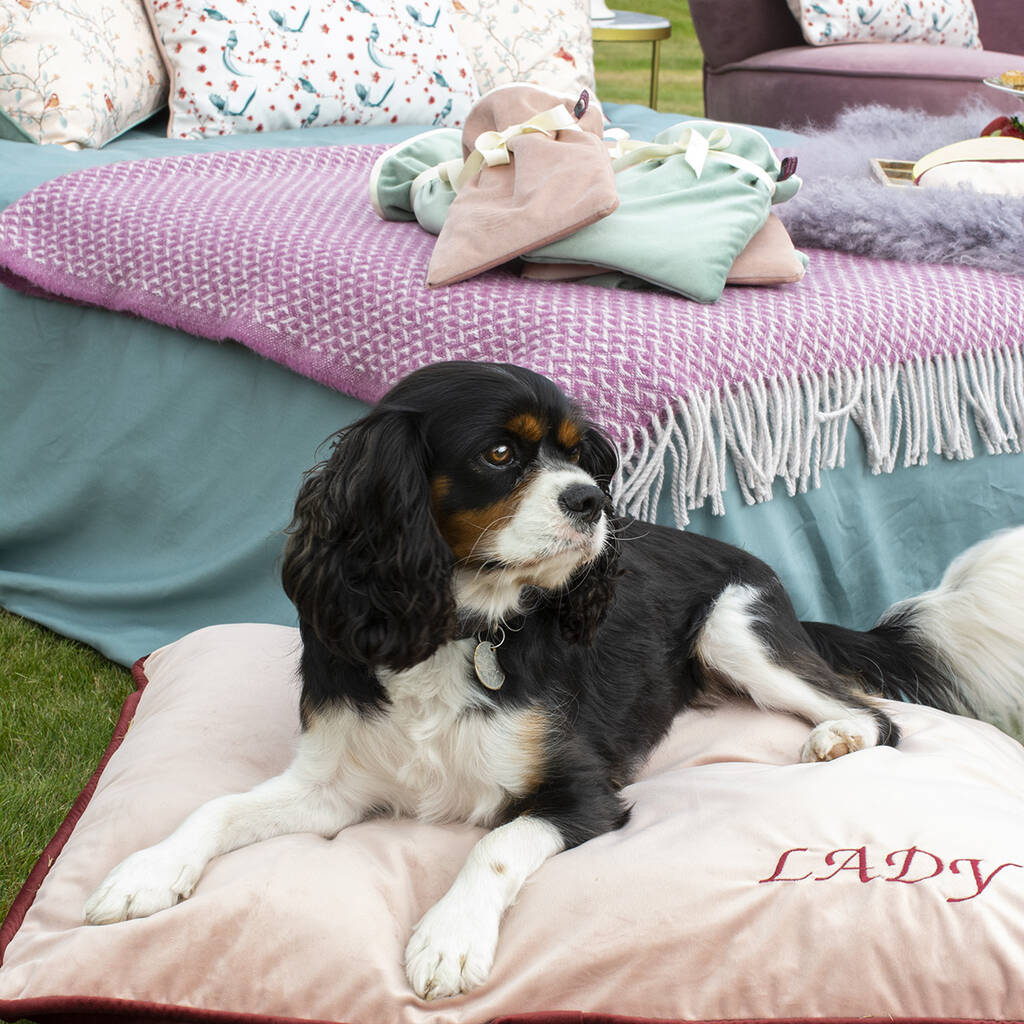 large personalised dog bed