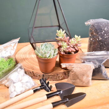 Black Pyramid Terrarium Kit With Succulent Or Cactus, 7 of 12