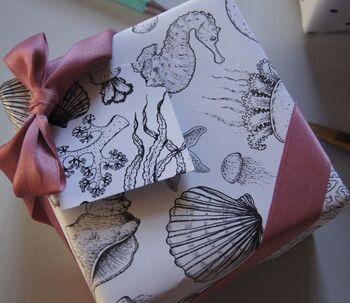 Salcombe Seashells Recyclable Gift Tags, 3 of 3