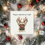 Furry And Bright Dog Christmas Card Pack. Mixed Pack Or One Design, thumbnail 5 of 5