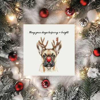 Furry And Bright Dog Christmas Card Pack. Mixed Pack Or One Design, 5 of 5