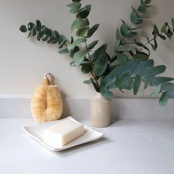 Invigorating Body Brush, 3 of 4