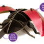 Build Your Own Ladybird, thumbnail 10 of 12