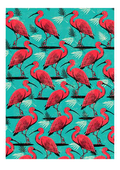 Scarlet Ibis Tropical A3 Print, 2 of 3