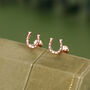 Sterling Silver Horseshoe 16 G Flat Back Labret Earrings, thumbnail 5 of 11
