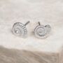 Sterling Silver Ammonite Shell Stud Earrings, thumbnail 1 of 10