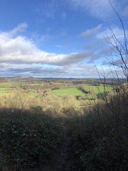 The Hampshire Hangers: A Circular Walk In Hampshire From Petersfield Station, 3 of 9