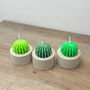 Round Barrel Cactus Candles Saguaro Cacti Candle Gift, thumbnail 8 of 10