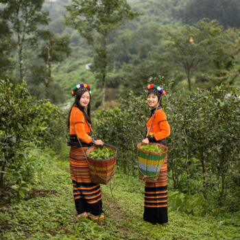 Ruby Black Loose Leaf Tea, 8 of 8