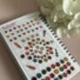 Silver And Antique Stone Colourful 800 Bindi Book, thumbnail 10 of 11