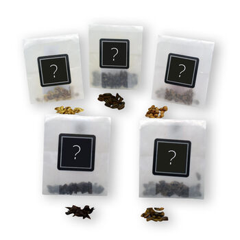 Mystery Bonsai Seed Collection Gift Box, 3 of 6