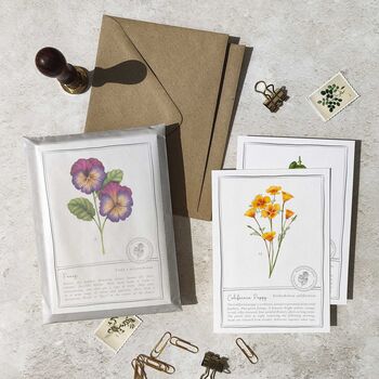 Botanical Garden Flowers Postcards Gift Set, 5 of 10