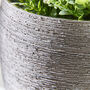 Mesiac Rippled Grey Plant Pot, thumbnail 3 of 4