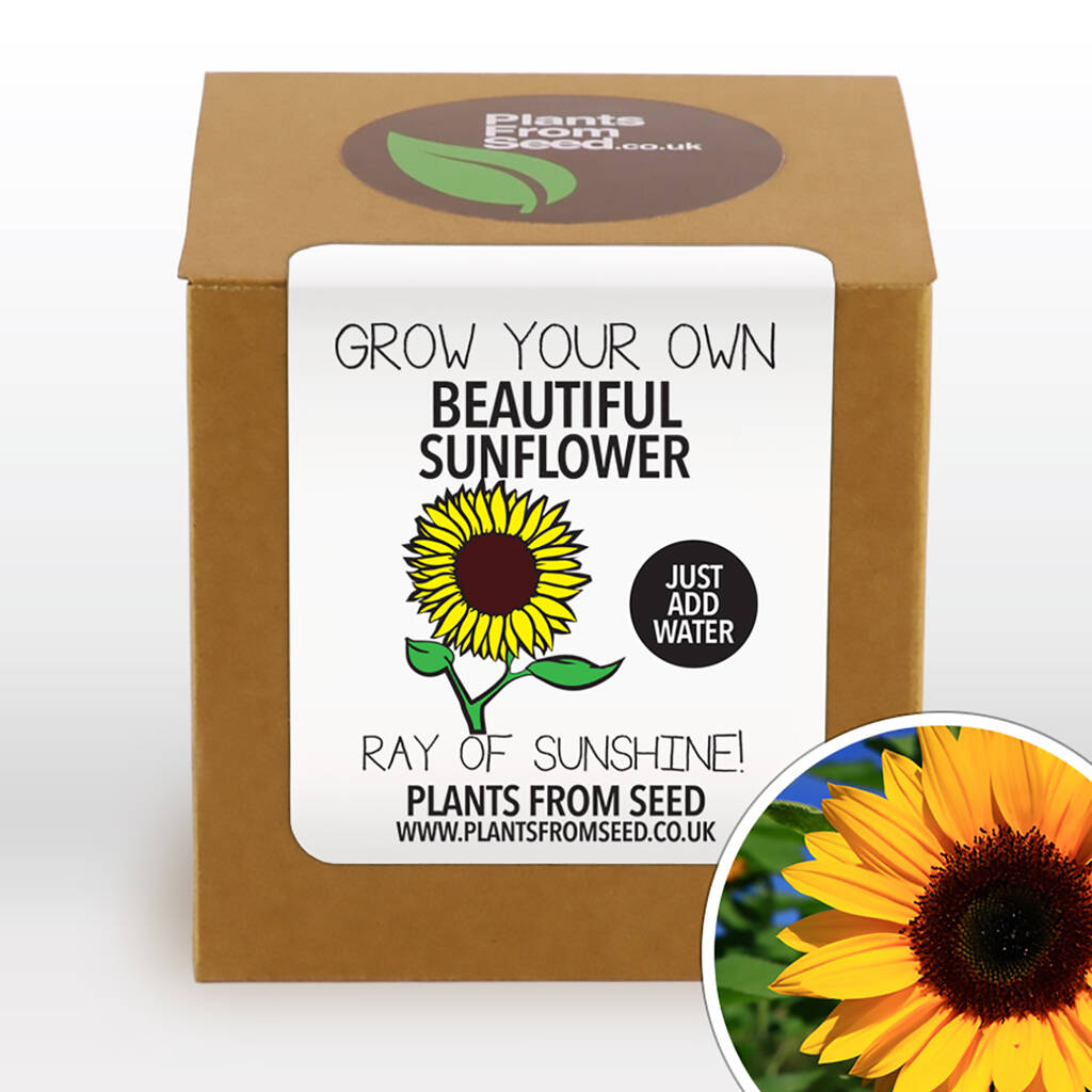Complete Grow Your Own Giant Sunflower Plant Kit By Plants From Seed