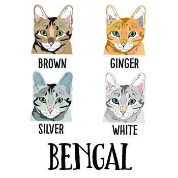 Design Your Own Personalised Cat Lady Shopping Bag Gift, 5 of 12