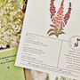 Botany Wildflower Vintage Wedding Stationery, thumbnail 9 of 10