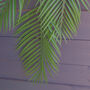 120cm Artificial Hanging Palm Leaf Plant, thumbnail 3 of 6