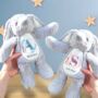 New Baby, New Sibling Personalised Soft Toy, thumbnail 1 of 7