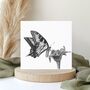 Antares Butterfly Blank Nature Greeting Card, thumbnail 1 of 6