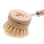 Wooden Dish Brush With Removable Head, thumbnail 4 of 4