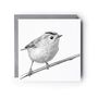 Goldcrest Bird Hand Drawn Greeting Card, thumbnail 3 of 6