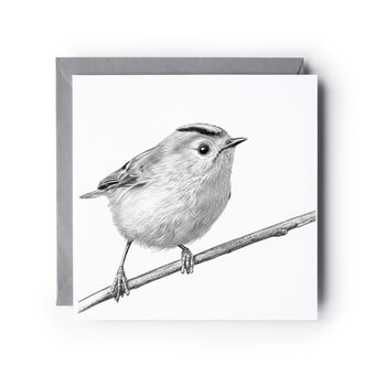 Goldcrest Bird Hand Drawn Greeting Card, 3 of 6