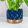 Midnight Gem Planter, thumbnail 1 of 4