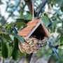 Woven House Martin Bird Nest Box With Wooden Roof, thumbnail 2 of 4