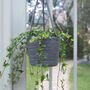 Recycled Grey Hanging Plant Pot, thumbnail 1 of 2
