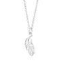 Feather Necklace, Sterling Silver Or Gold Plated, thumbnail 11 of 12
