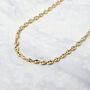 Iconic Coffee Bean Gold Plated Chain Necklace Luxe, thumbnail 1 of 5